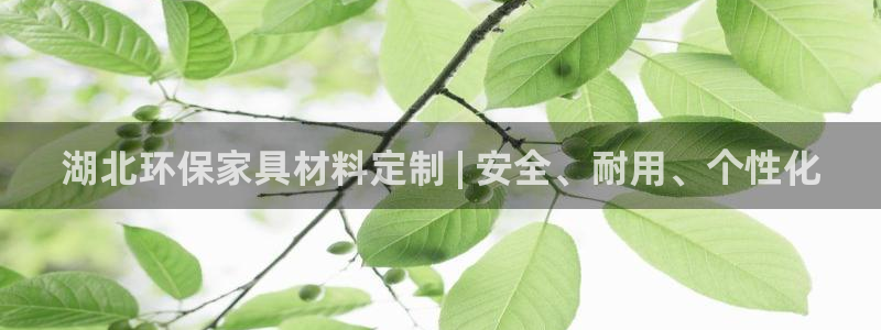 杏耀平台登录入口